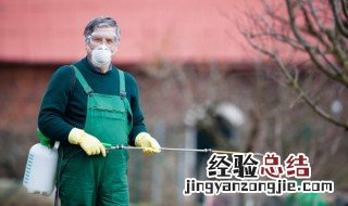 花草一般多久施肥一次 花草一般多长时间施一次肥