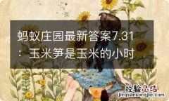 蚂蚁庄园最新答案7.31：玉米笋是玉米的小时候吗 蚂蚁？