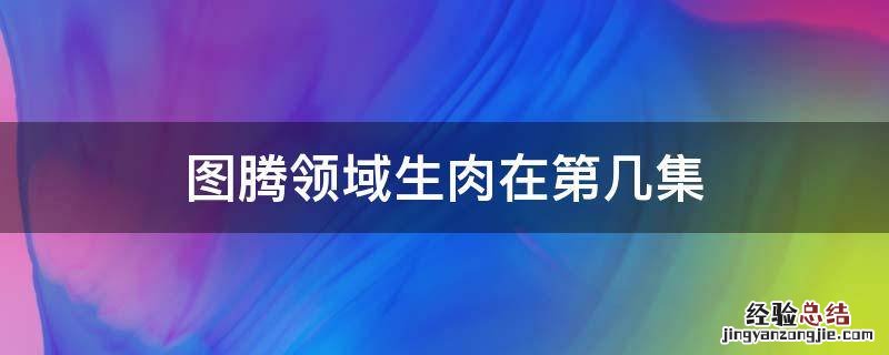 图腾领域生肉在第几集