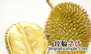 榴莲适合什么地方种植 榴莲的种植地方