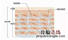 角质层修复小窍门 三个小妙招教你怎样修复角质层