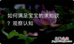 如何满足宝宝的求知欲？观察认知