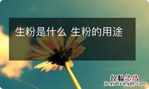 生粉是什么 生粉的用途