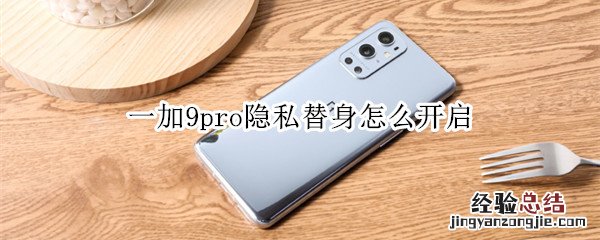 一加9pro隐私替身怎么开启