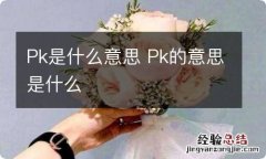 Pk是什么意思 Pk的意思是什么