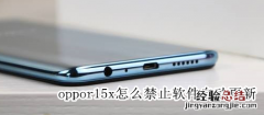 oppor15x怎么禁止软件自动更新