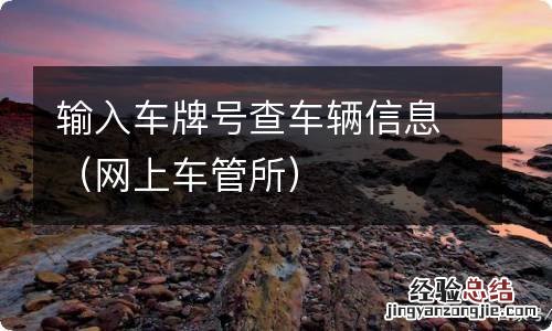 网上车管所 输入车牌号查车辆信息