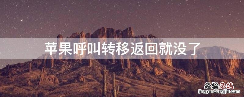 iPhone呼叫转移返回就没了