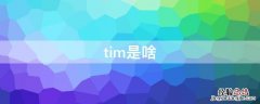 tim是啥