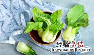春天适合种植的蔬菜有哪些 春天适合种植的蔬菜有哪些图片