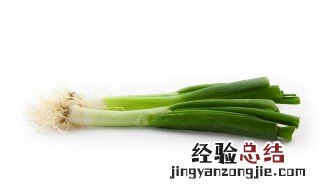 种小葱头方法 如何种植小葱头