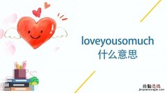 love中文是什么意思