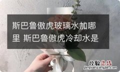 斯巴鲁傲虎玻璃水加哪里 斯巴鲁傲虎冷却水是加什么