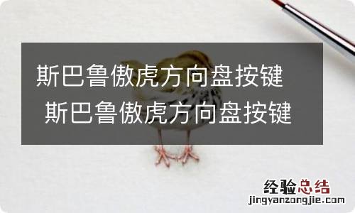 斯巴鲁傲虎方向盘按键 斯巴鲁傲虎方向盘按键 11款多少钱