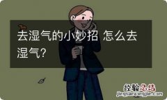 去湿气的小妙招 怎么去湿气?