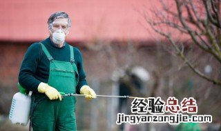 家里放什么驱蚊子 家里放什么驱蚊虫