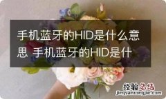 手机蓝牙的HID是什么意思 手机蓝牙的HID是什么意思呢