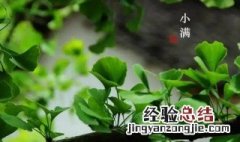 明天几点几分小满 今日小满时间几点几分