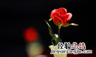 7月初七送老婆什么礼物 初七送老婆什么礼物好