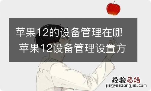 苹果12的设备管理在哪 苹果12设备管理设置方法