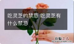 吃灵芝的禁忌 吃灵芝有什么禁忌