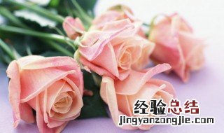 情人节给老婆送什么礼物比较实用 情人节给老婆送什么礼物