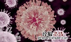 生物上的病毒的特点什么 生物上的病毒的特点是什么意思