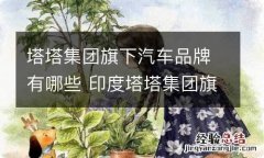 塔塔集团旗下汽车品牌有哪些 印度塔塔集团旗下的汽车品牌有哪些