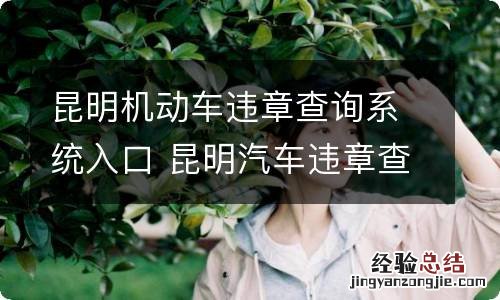 昆明机动车违章查询系统入口 昆明汽车违章查询官方网