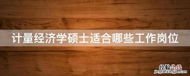 计量经济学硕士适合哪些工作岗位