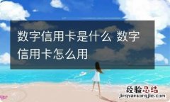 数字信用卡是什么 数字信用卡怎么用