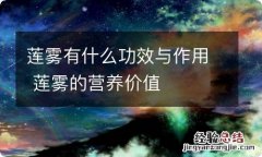 莲雾有什么功效与作用 莲雾的营养价值