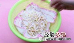 豆芽水培方法 这样培养的豆芽最好