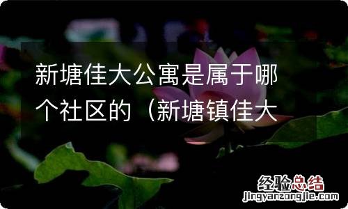 新塘镇佳大公寓 新塘佳大公寓是属于哪个社区的