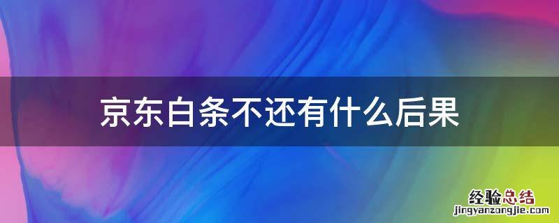 京东白条不还有什么后果