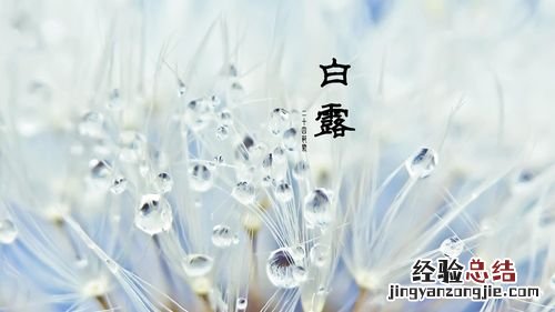 白露节气的诗词有哪些