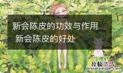 新会陈皮的功效与作用 新会陈皮的好处