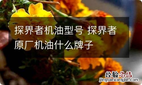 探界者机油型号 探界者原厂机油什么牌子