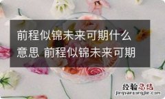 前程似锦未来可期什么意思 前程似锦未来可期是什么意思