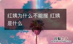 红姨为什么不能搜 红姨是什么