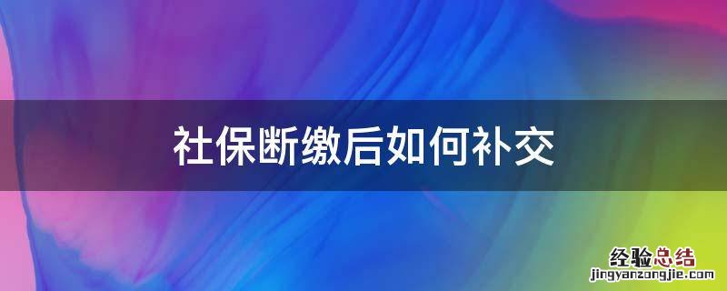 社保断缴后如何补交