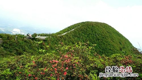 龙泉有哪些景点