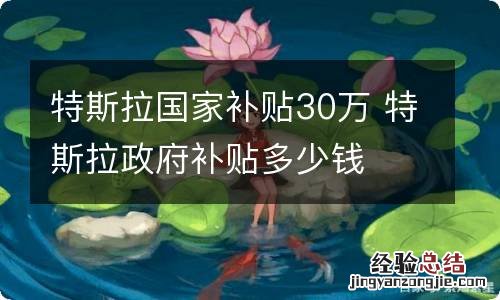 特斯拉国家补贴30万 特斯拉政府补贴多少钱
