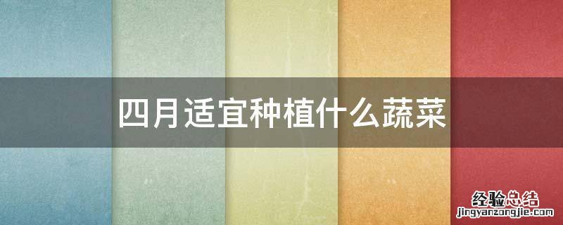 四月适宜种植什么蔬菜