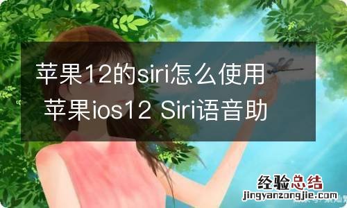 苹果12的siri怎么使用 苹果ios12 Siri语音助手怎么设置唤醒语