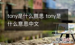 tony是什么意思 tony是什么意思中文