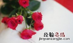 女生送男生生日礼物送什么好 女生送女生生日礼物送什么好