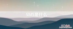 SMS是什么