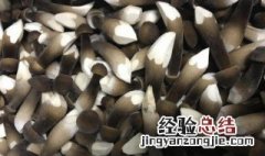 黑皮鸡枞菌采摘技巧 采摘技巧如下