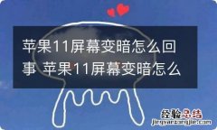 苹果11屏幕变暗怎么回事 苹果11屏幕变暗怎么设置